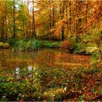 Der Herbstteich