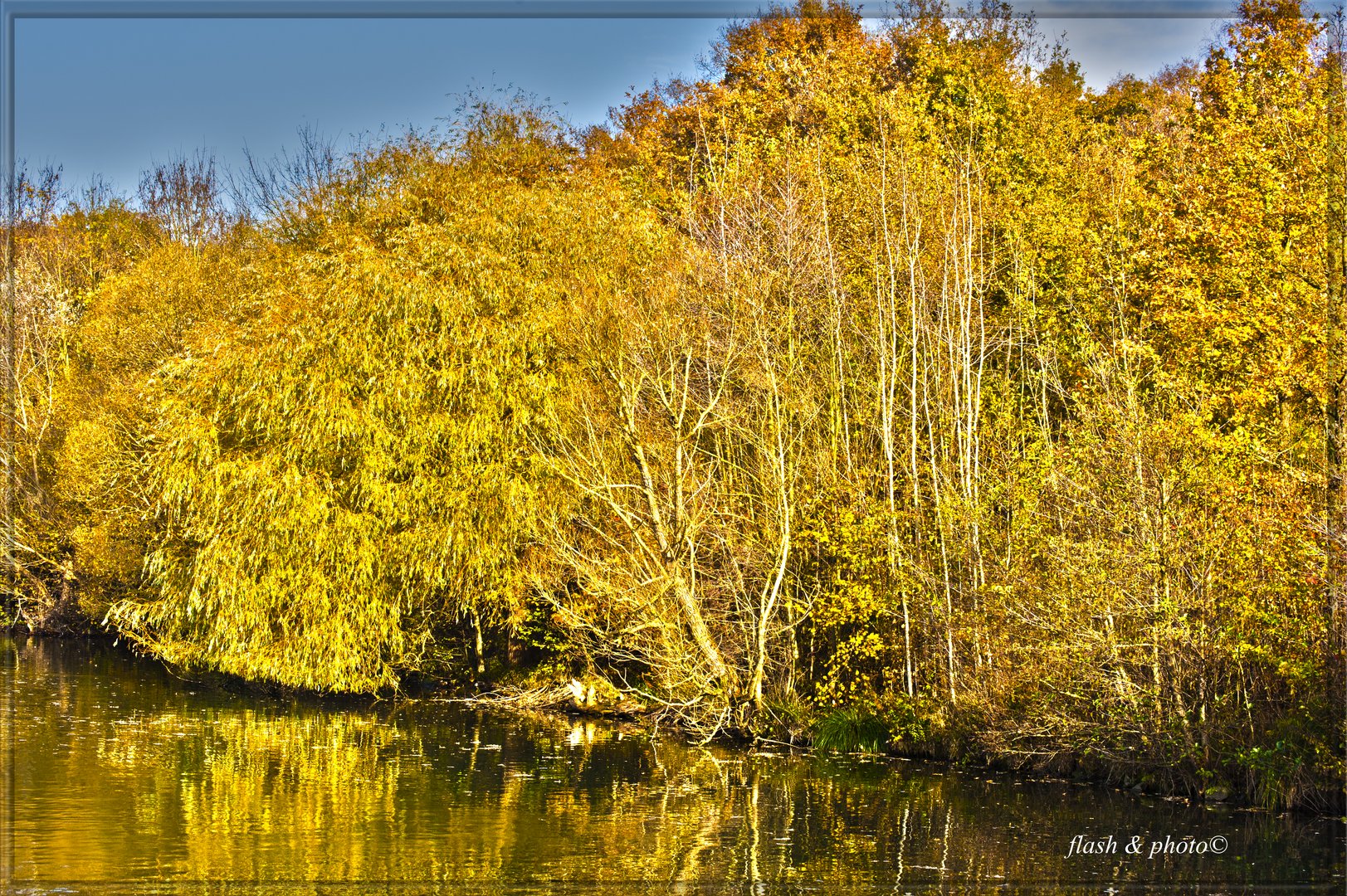 Der Herbstwald am Lippesee.