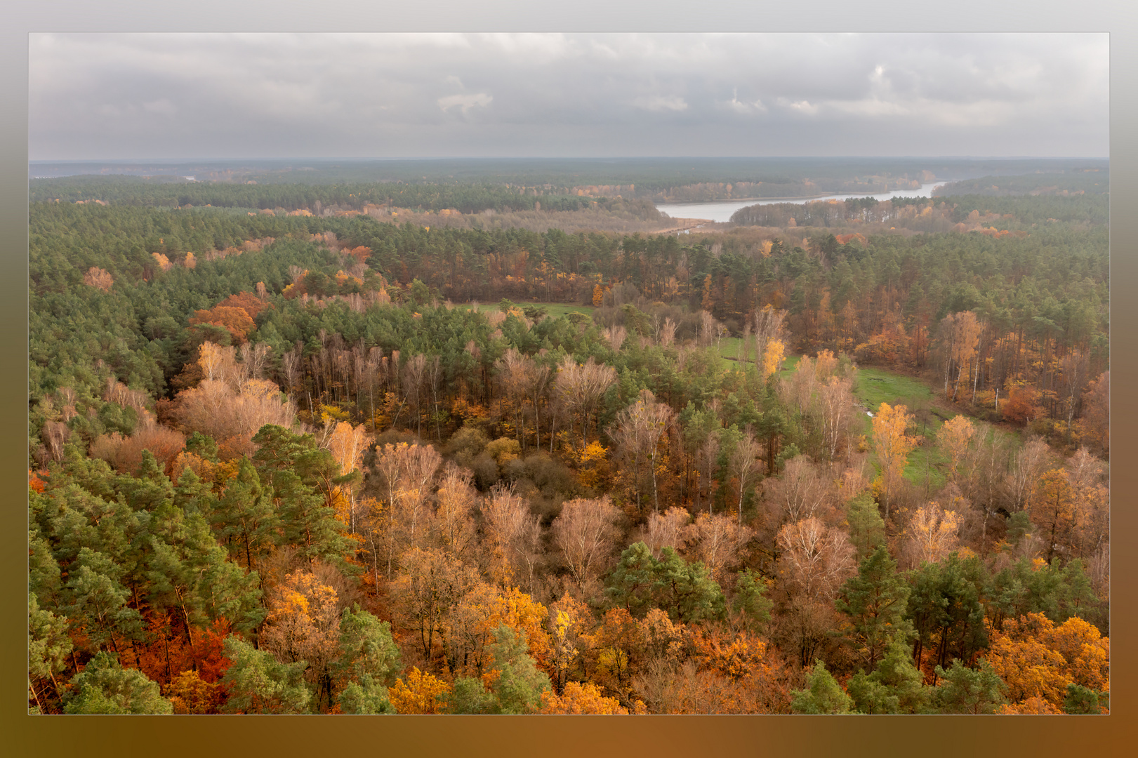 Der Herbstwald brennt I