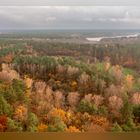 Der Herbstwald brennt I