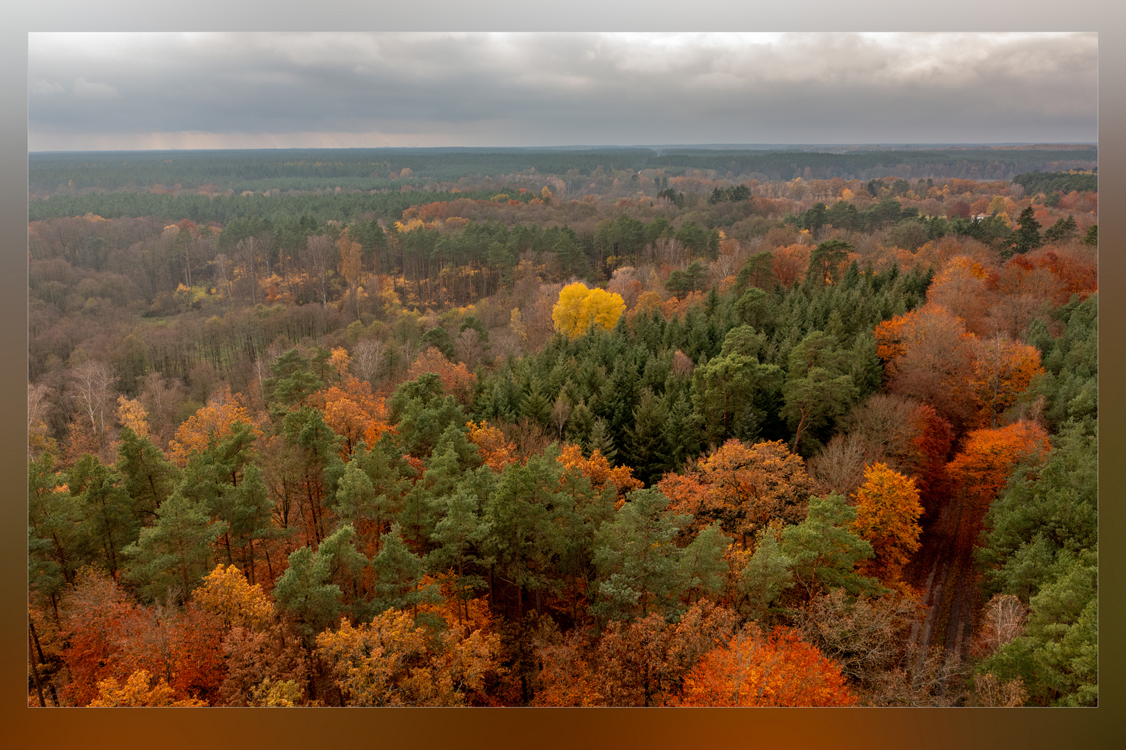 Der Herbstwald brennt II