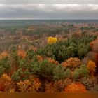 Der Herbstwald brennt II