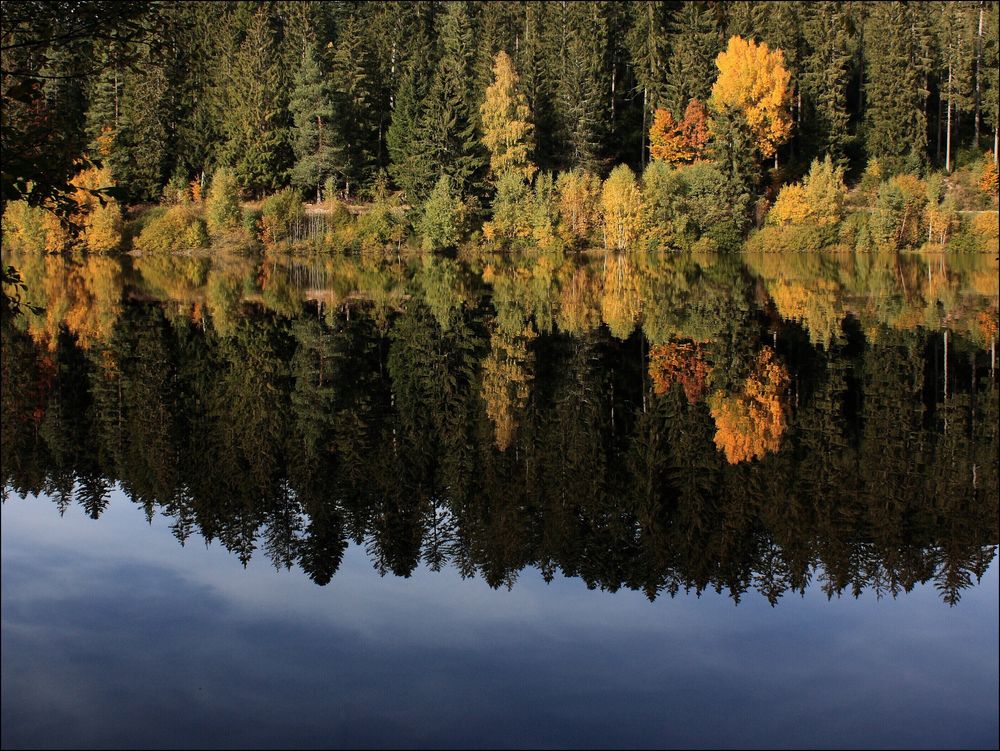 Der Herbstwald spiegelt sich....