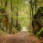 Der Herbstweg