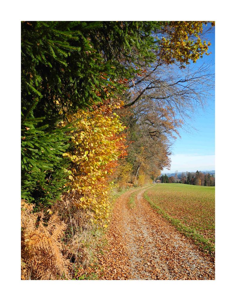 der Herbstweg