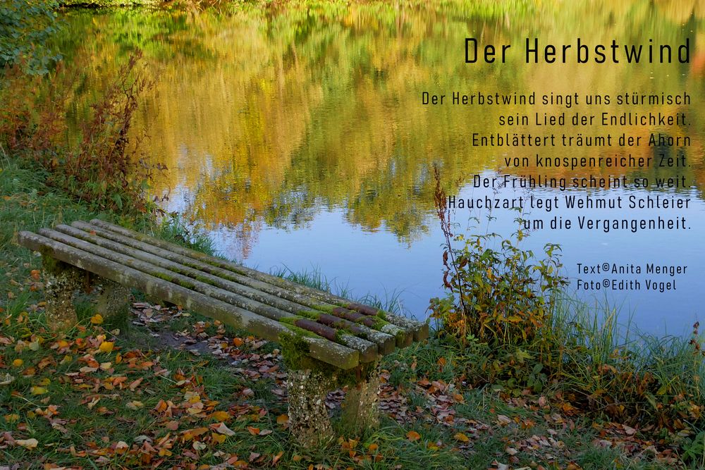 Der Herbstwind