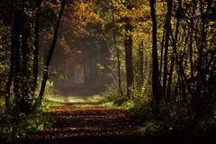 Der Herbstwind weht durch Wald und Feld...
