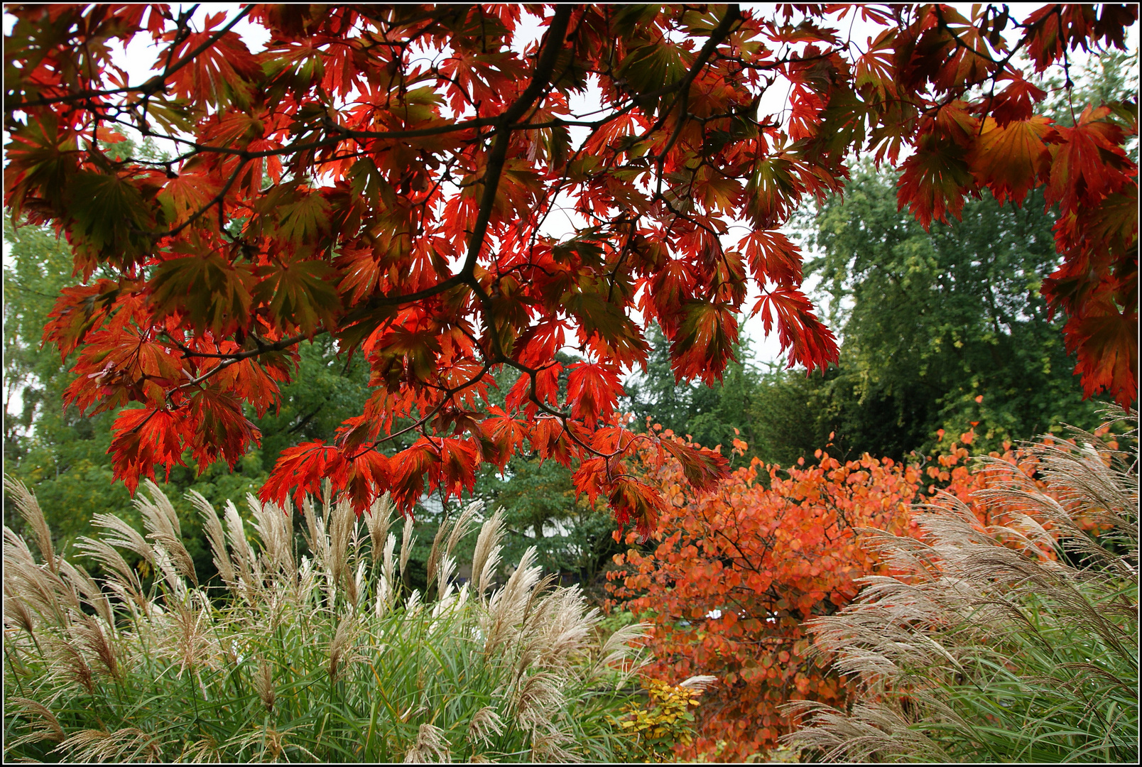 der Herbst...zeigt...was er kann...