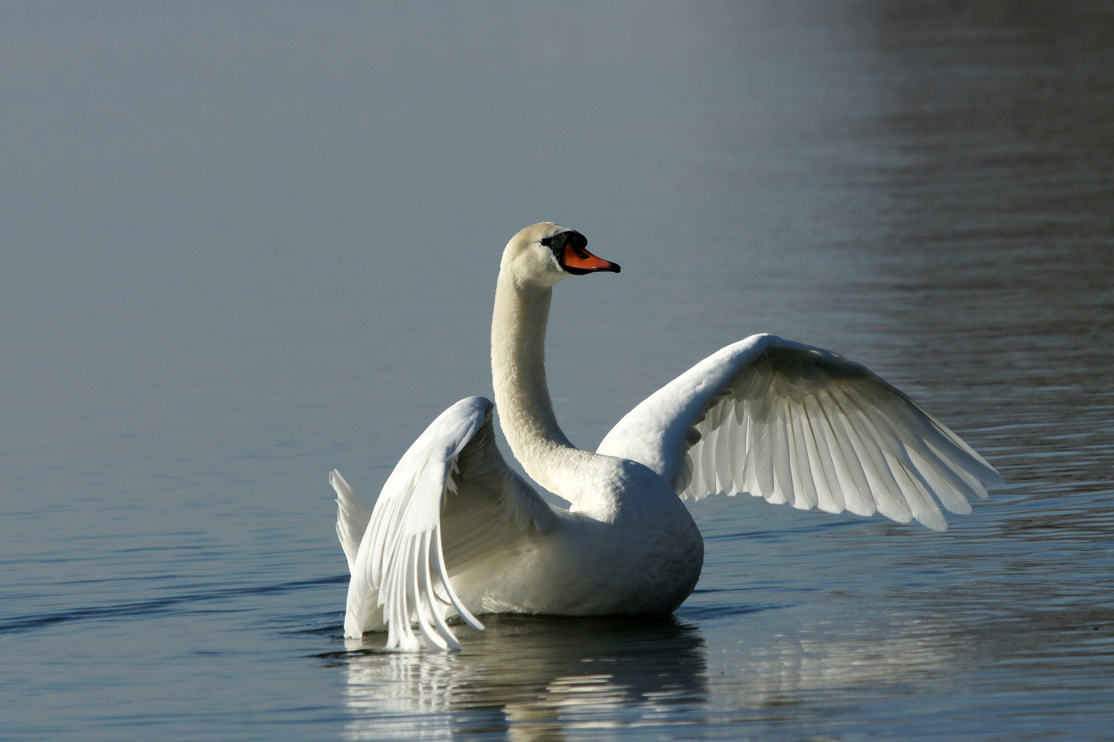 Der Herr auf dem See