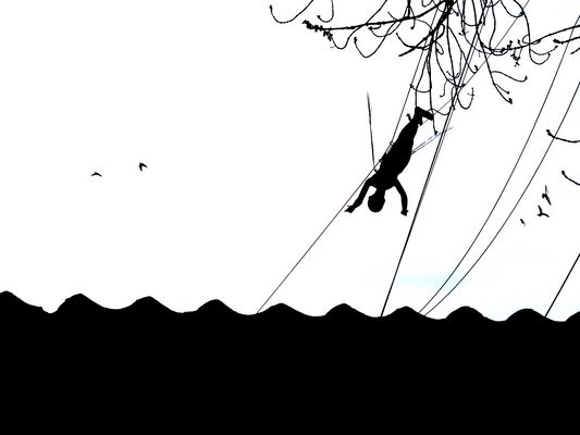 Der Herr der Fliegen (den)