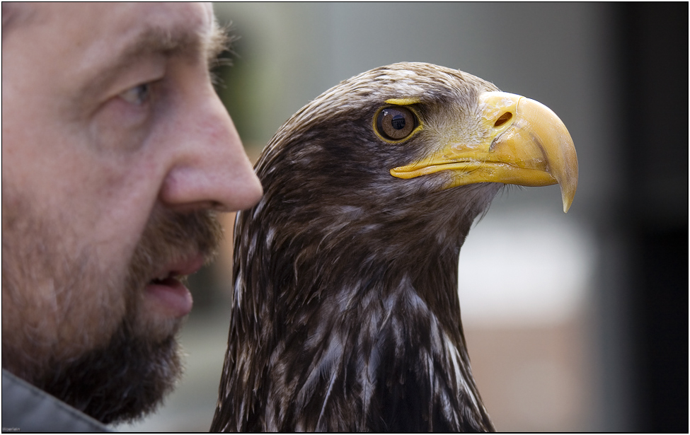 [ der Herr hat´nen großen Vogel ]