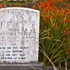 Der "HERR" sorgt für den Blumenschmuck. Friedhof in Waterville