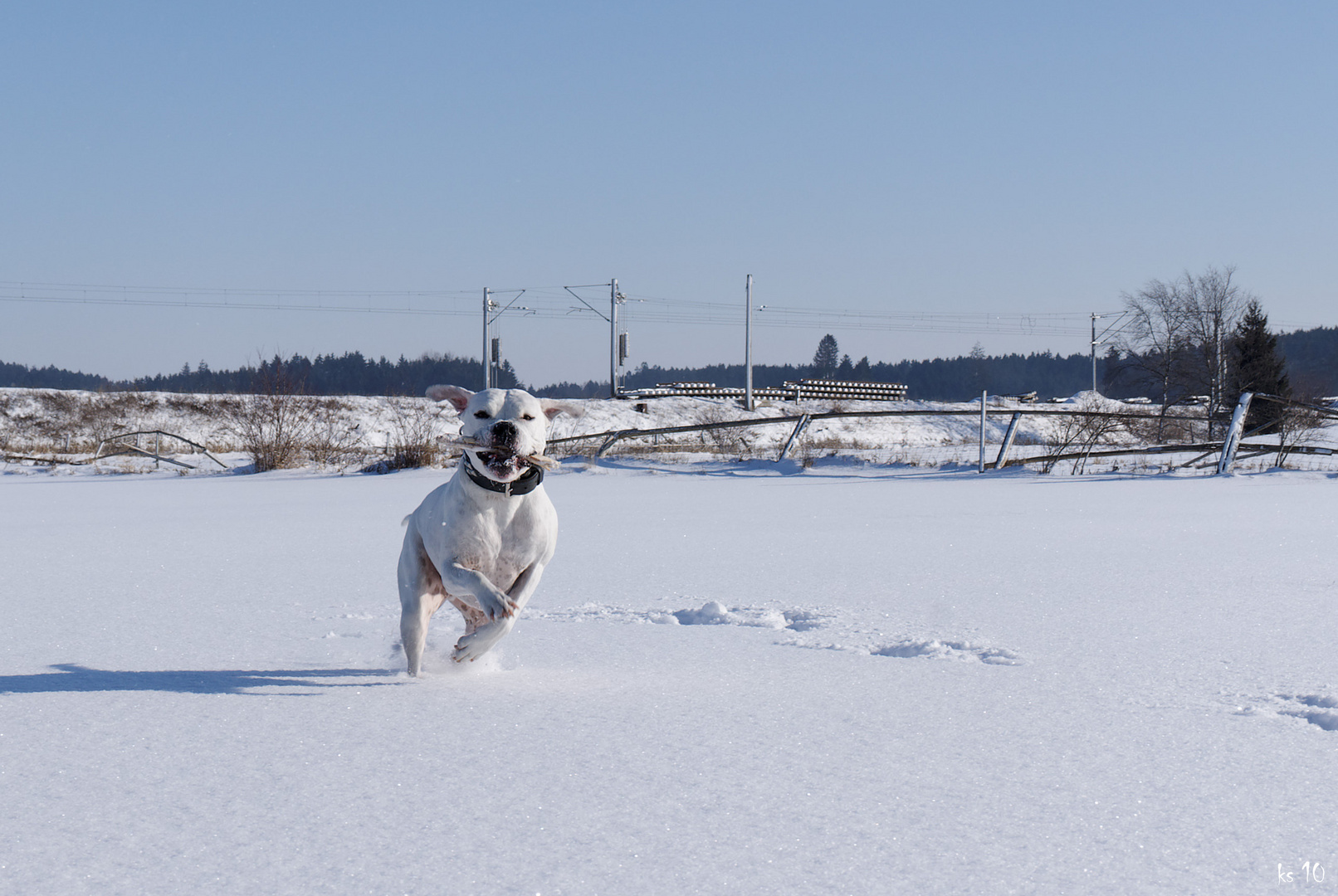 der herr spark beim spielen......