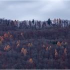 der Hertener Wald im Herbst