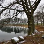 Der Herthasee im ersten Winterkleid