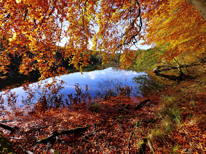 Der Herthasee im Herbst...