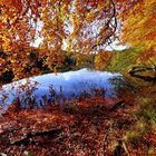 Der Herthasee im Herbst...