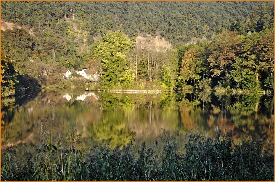 Der Herzogweiher im Herbst