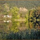 Der Herzogweiher im Herbst