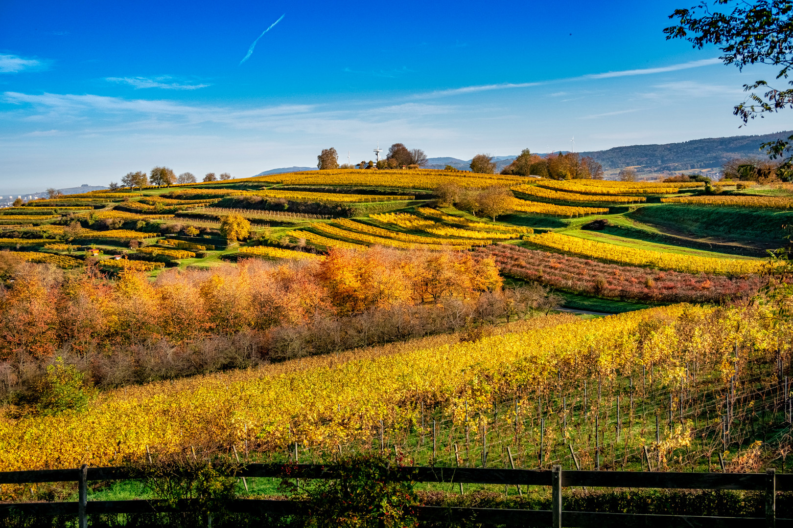 Der Heuberg 