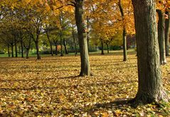 Der Heußpark in Lippstadt Süd