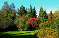 Der heutige Blick in den Herbstgarten ...