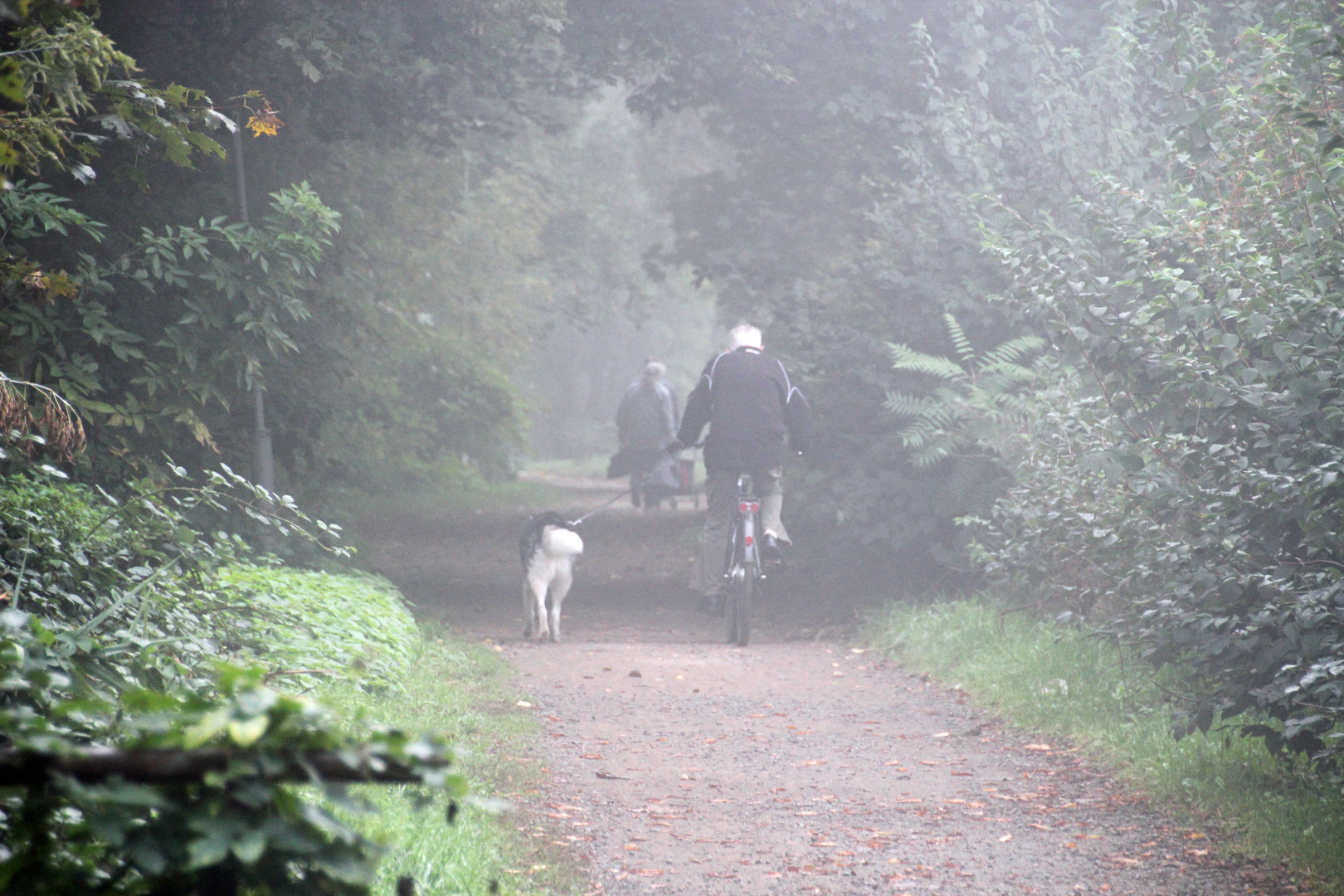 Der heutige Morgen in Cottbus