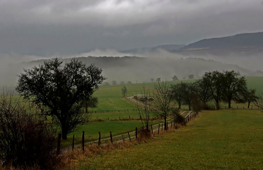 Der heutige Silvesterspaziergang 2011 ....