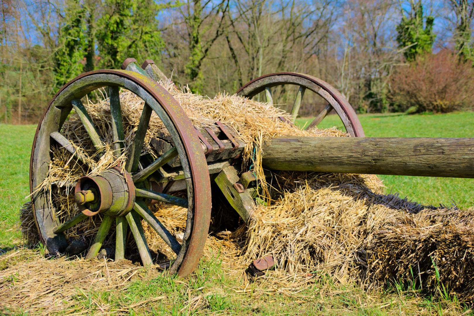 Der Heuwagen1