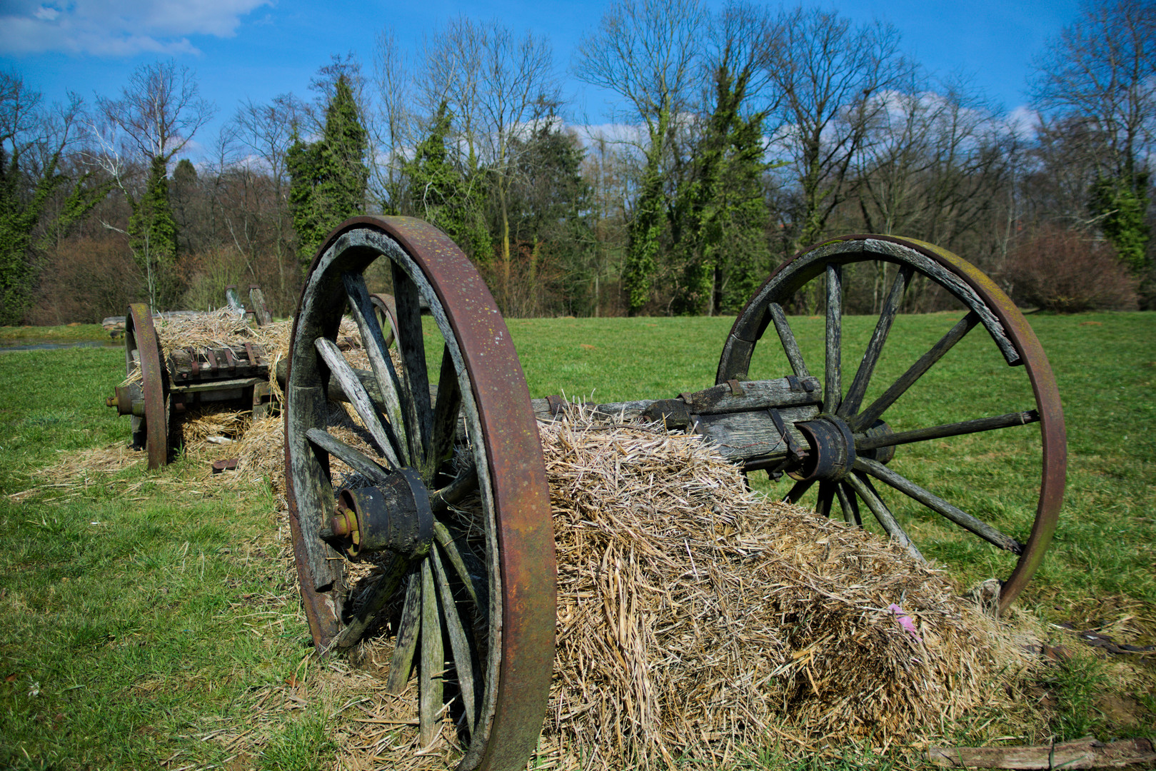 Der Heuwagen2