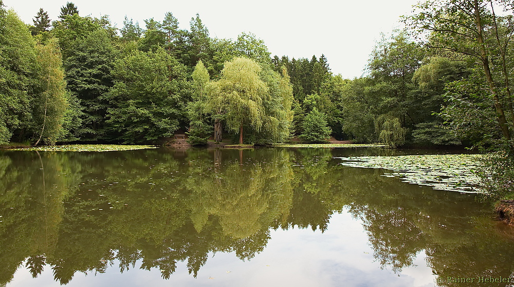 Der Hexenteich (5) - "Die Bank"