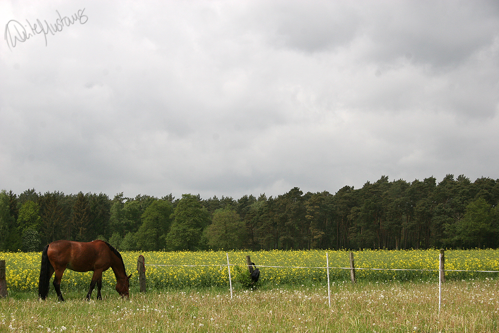 Der Himmel...