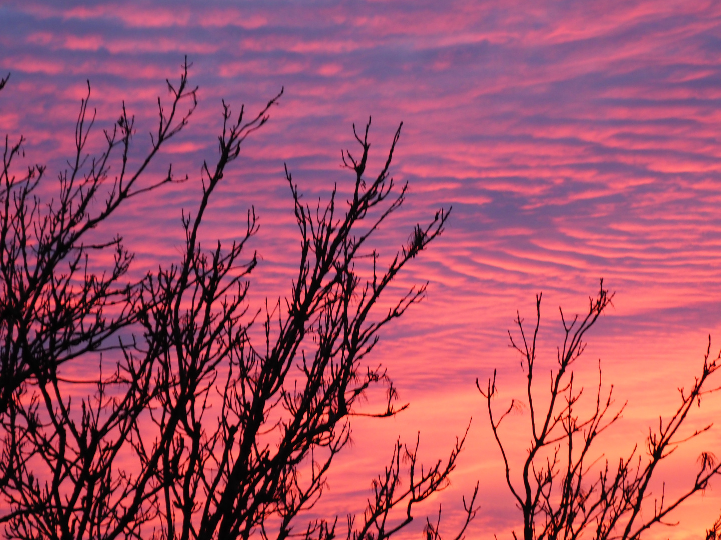 Der Himmel am 08.November 2019