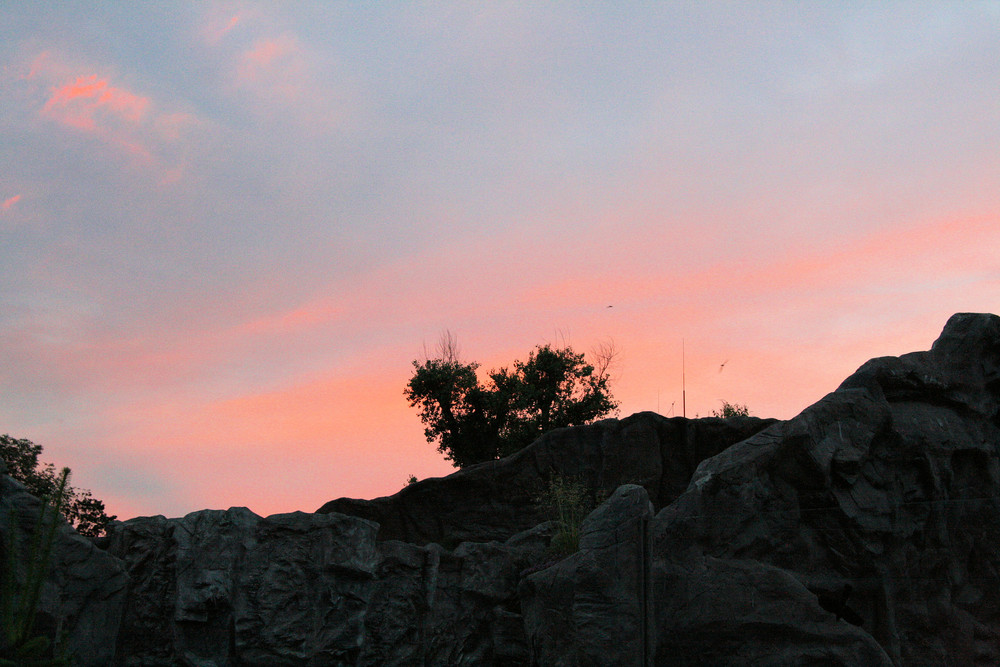 Der Himmel am Abend im Zoo von Gelsenkirchen.