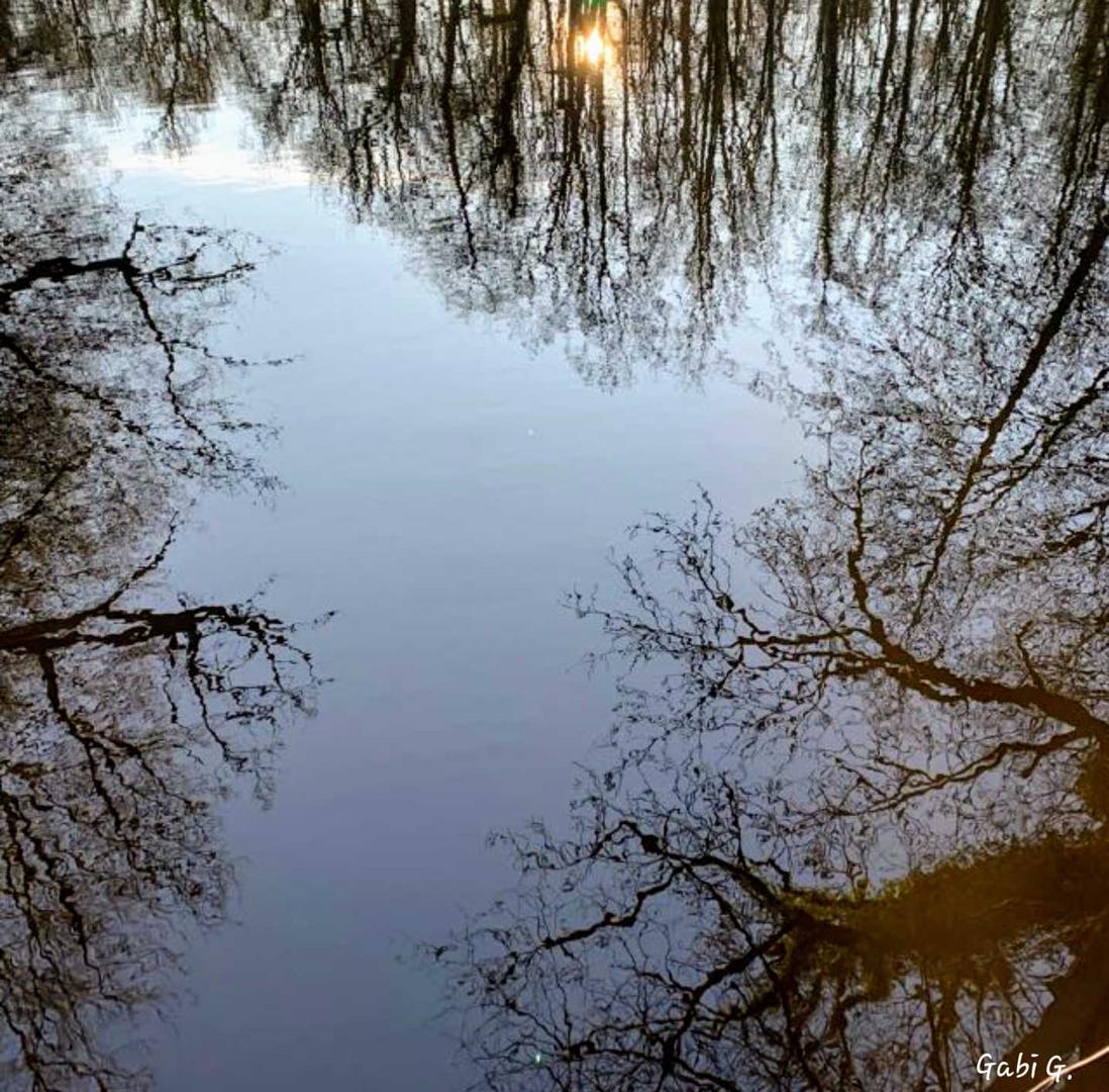 " Der Himmel auf Erden " .......