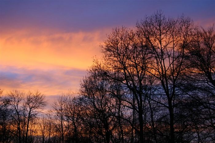 Der Himmel bekennt Farbe