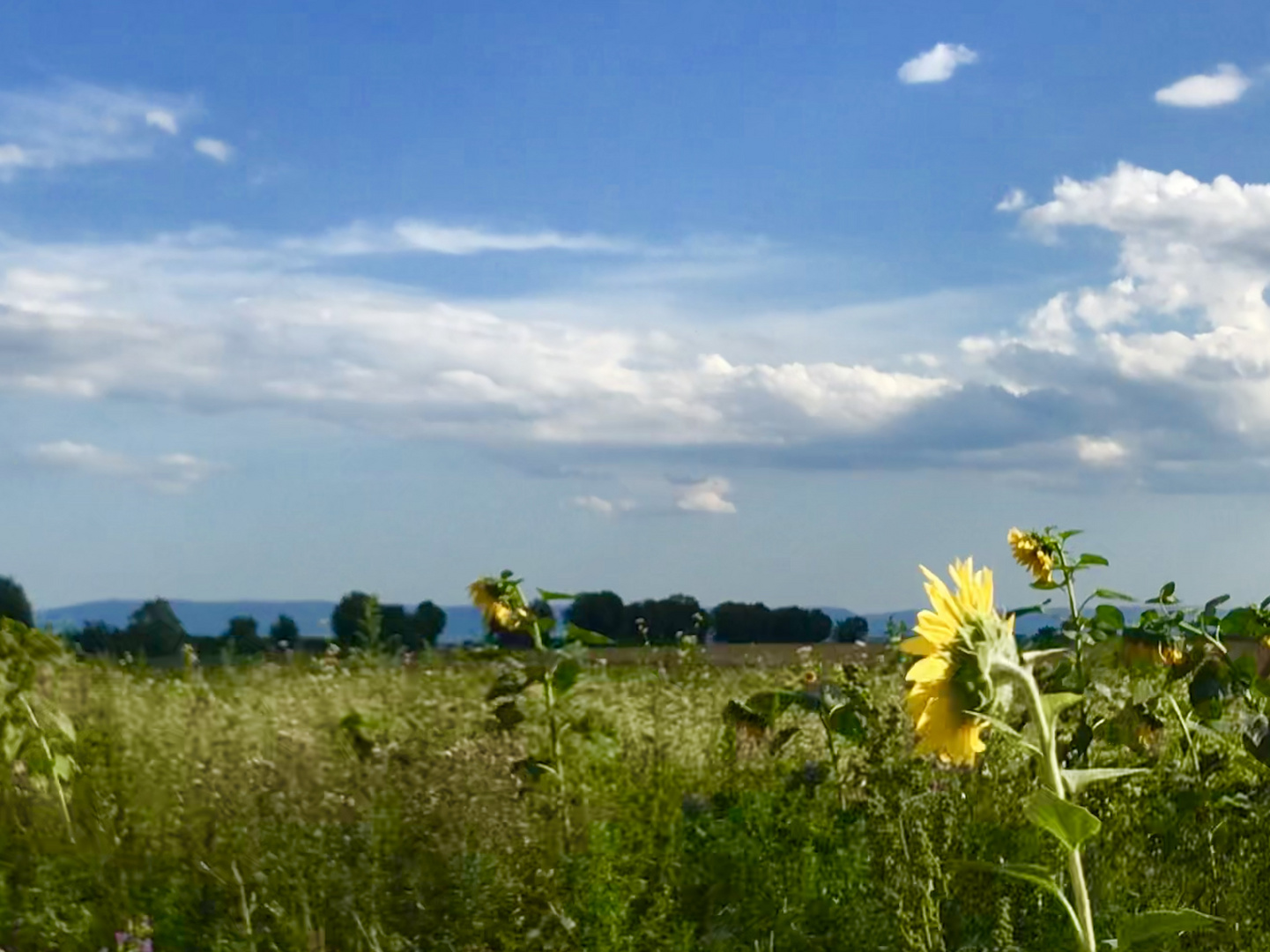 der Himmel bewegt