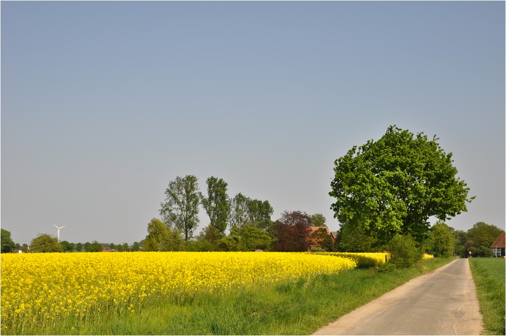 Der Himmel blau, die Sonne lacht ...