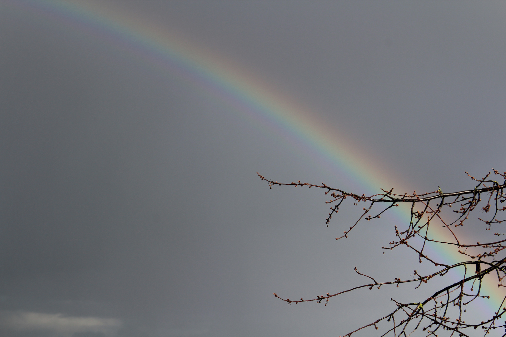 Der Himmel bleibt nie lange trüb!