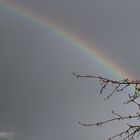 Der Himmel bleibt nie lange trüb!