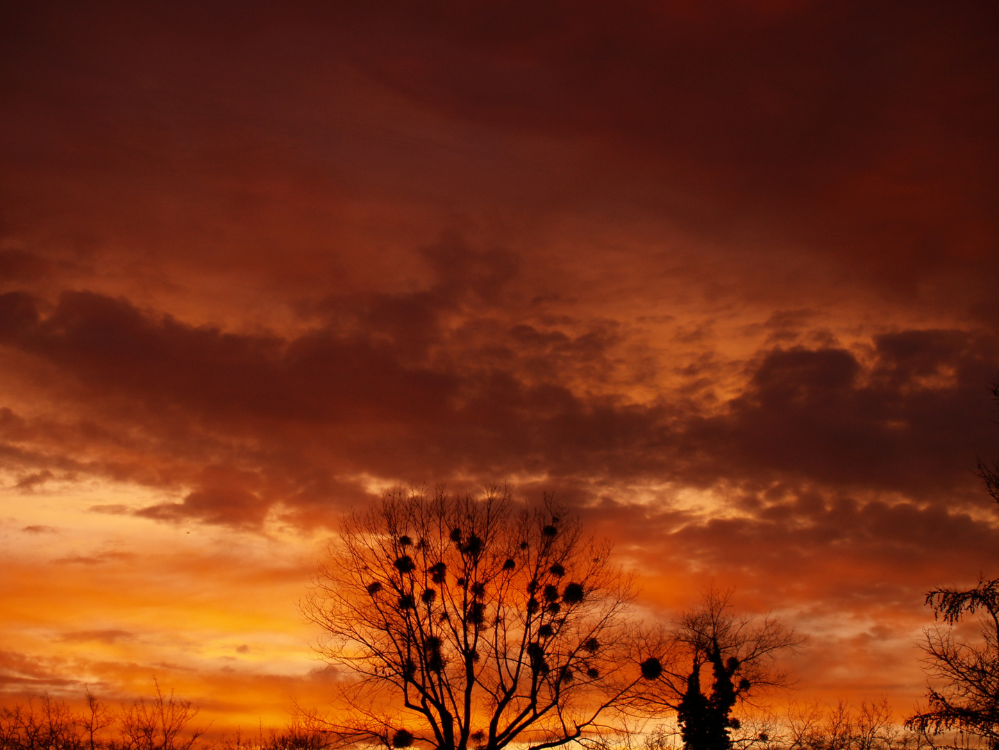 Der Himmel brennt 1