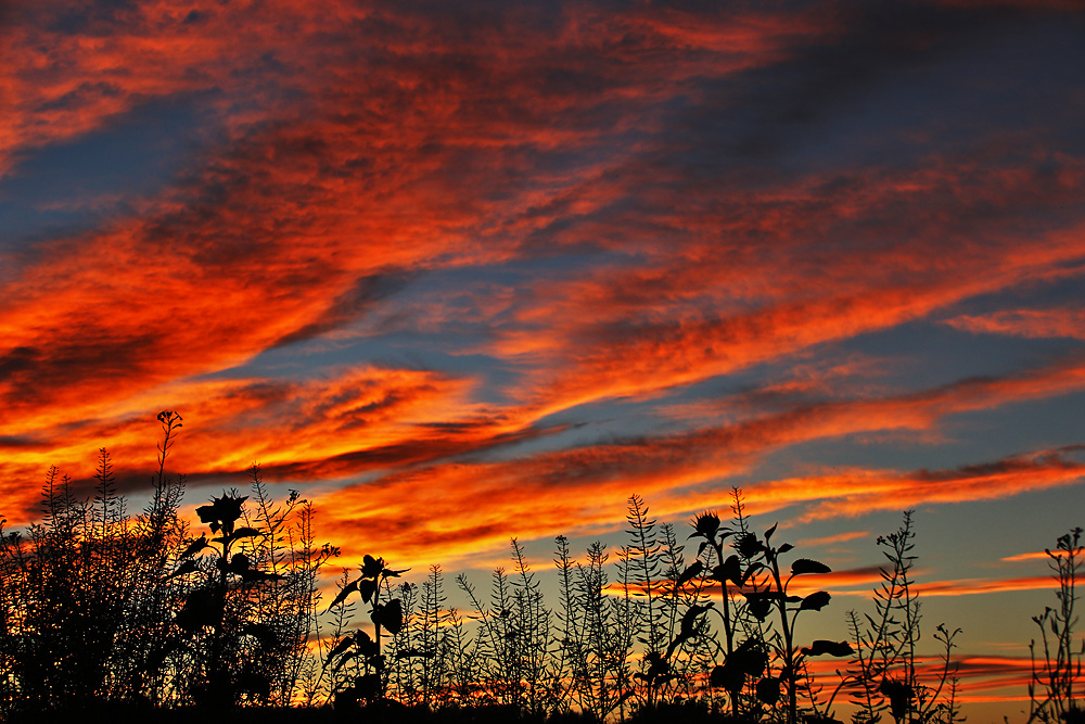 der Himmel brennt..........