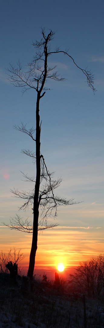 der himmel brennt