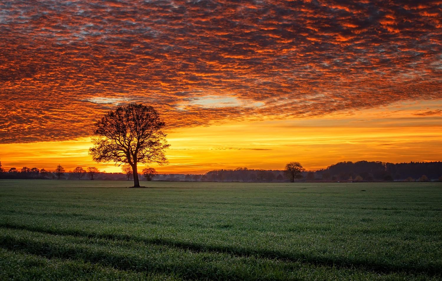 Der Himmel brennt