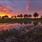 Der Himmel brennt