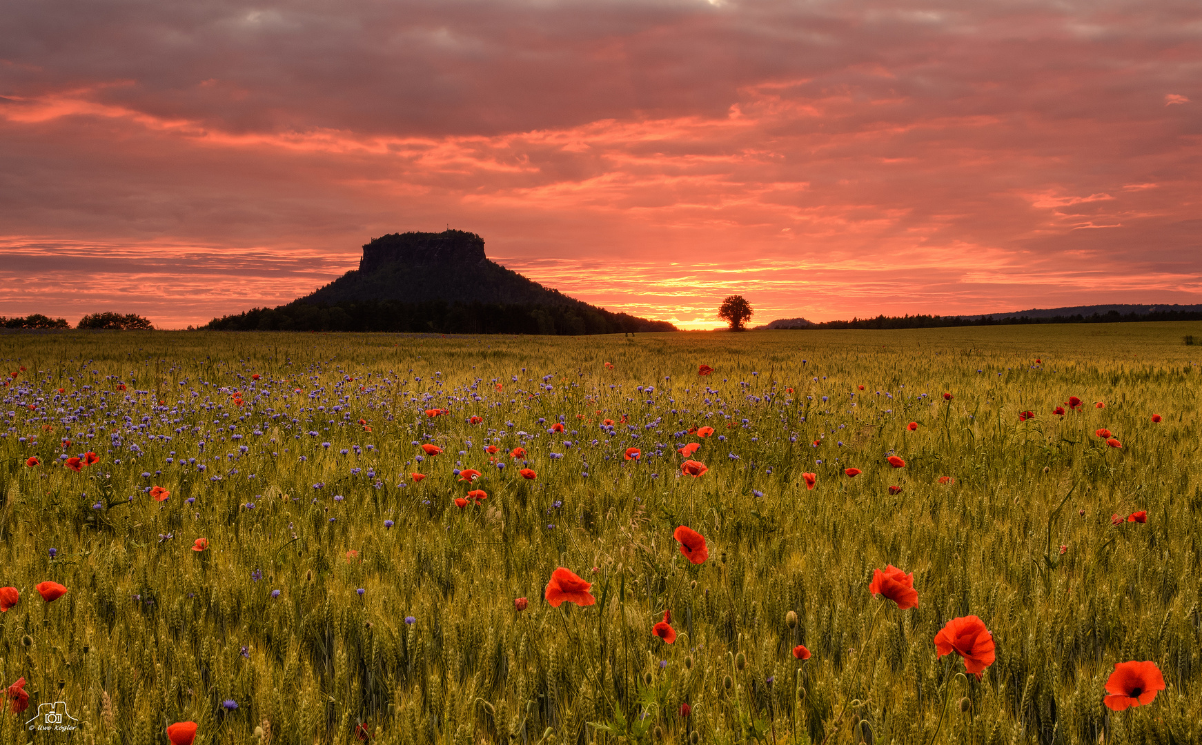 Der Himmel brennt am Lilienstein II