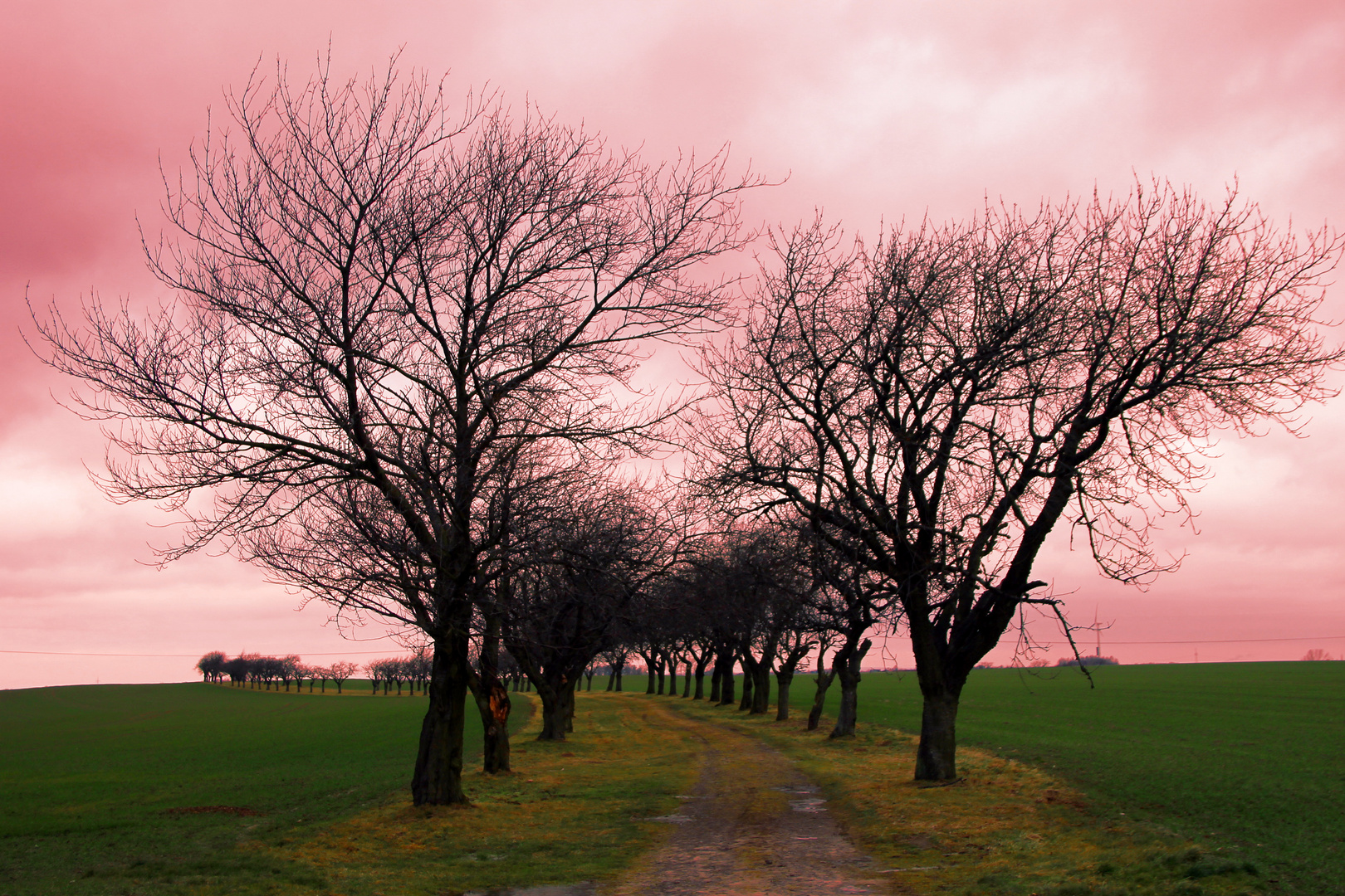 Der Himmel brennt...