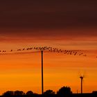 Der Himmel brennt