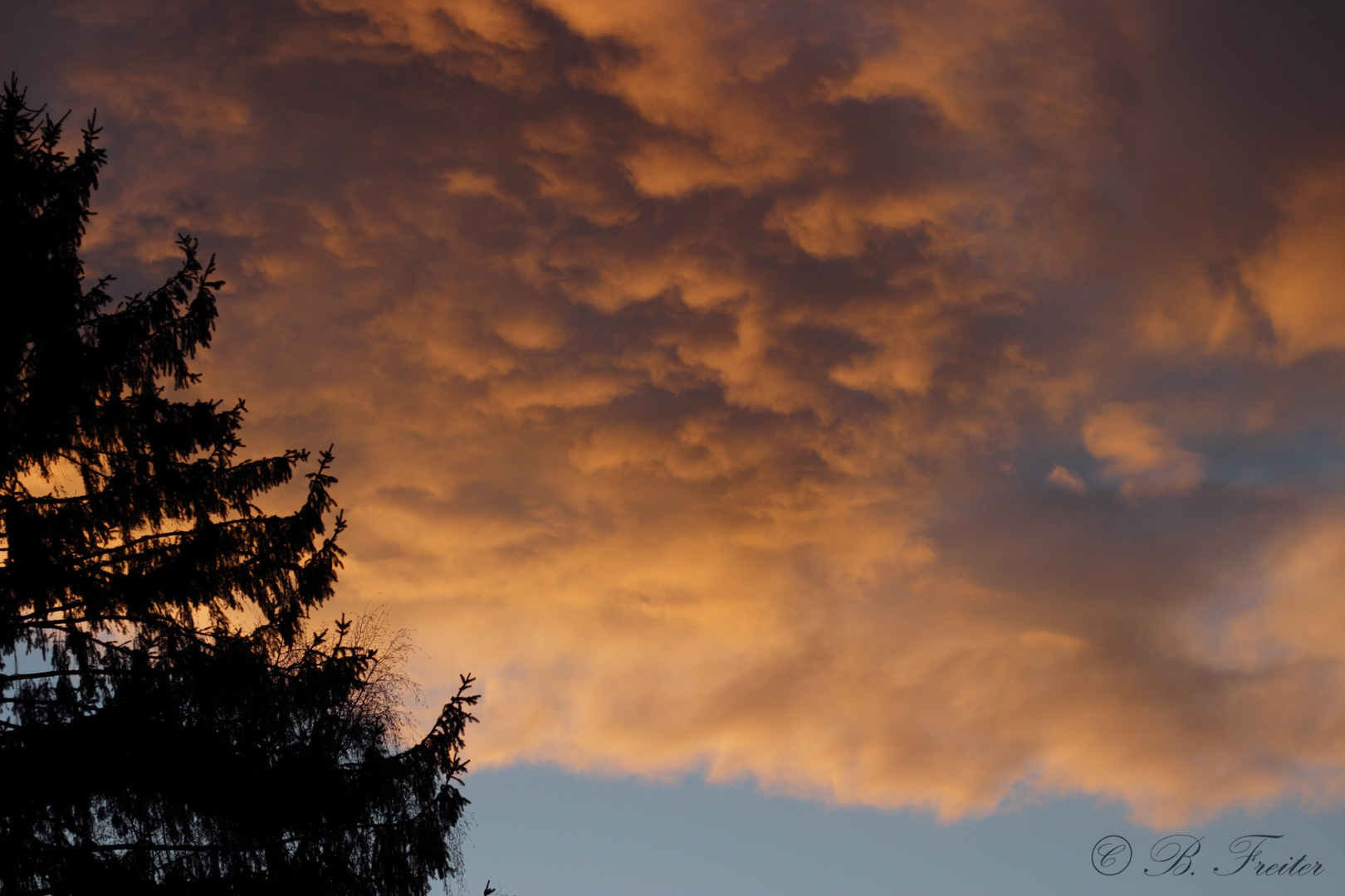 Der Himmel brennt die Engel flieh´n...