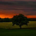 Der Himmel brennt, die Engeln fliehen